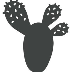 DESSOUS DE PLAT CACTUS 25.5 X 24 CM