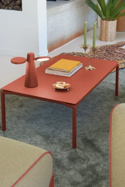 TABLE BASSE 100 X 60 CM