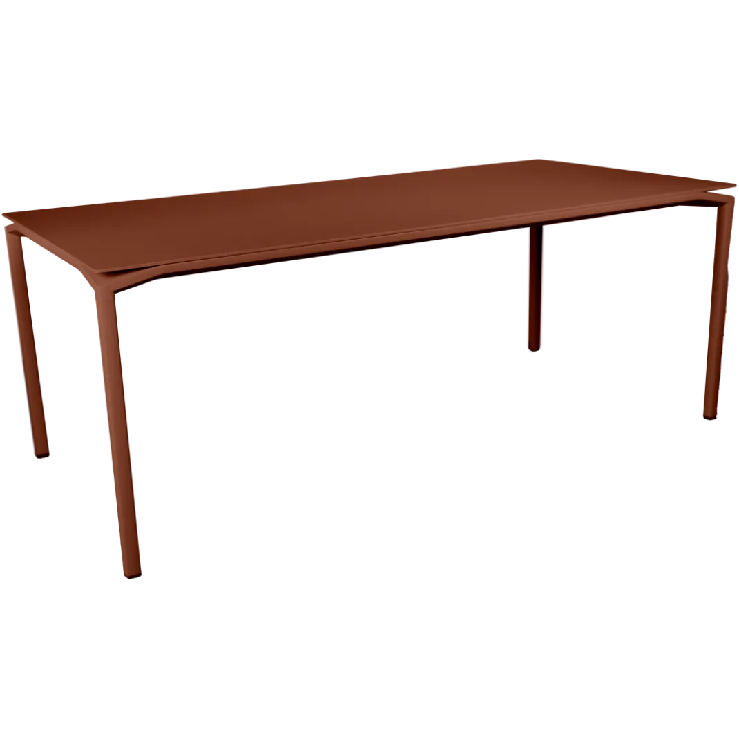 TABLE MAT VELOUTÉ 195 X 95 CM