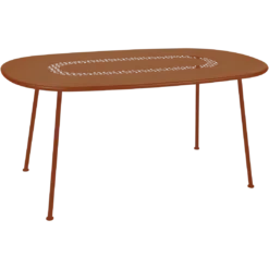 TABLE OVALE 160 X 90 CM