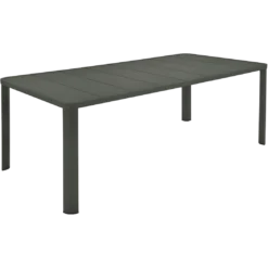 TABLE 205 X 100 CM