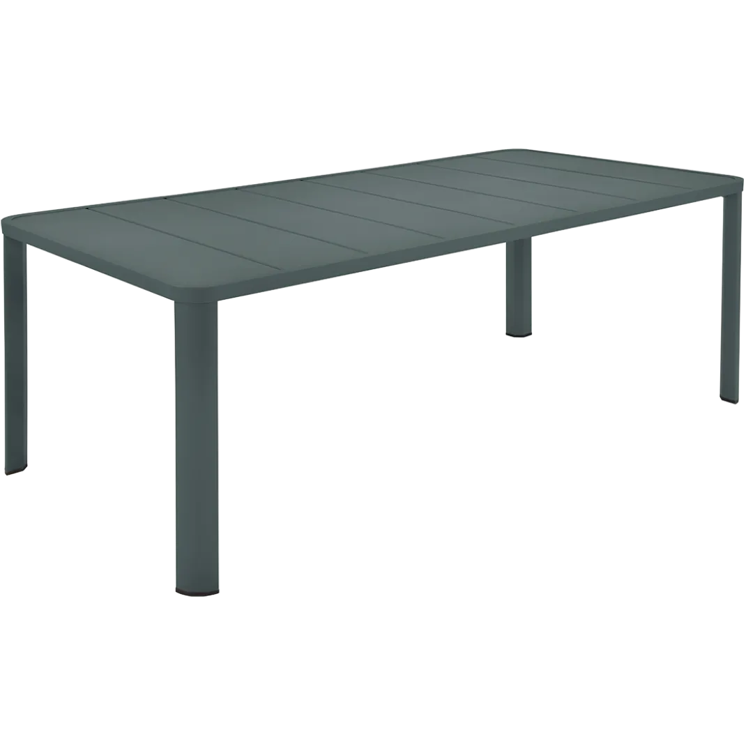 TABLE 205 X 100 CM
