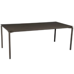TABLE 195 X 95 CM