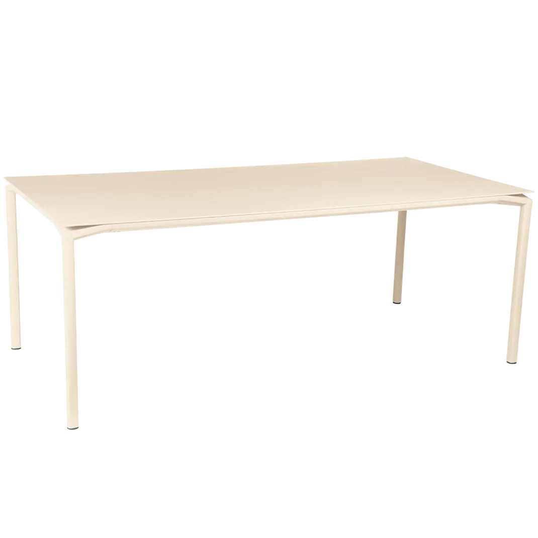 TABLE 195 X 95 CM