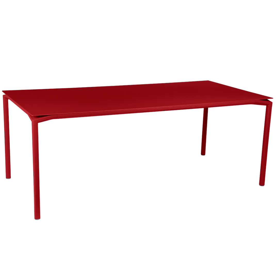 TABLE 195 X 95 CM