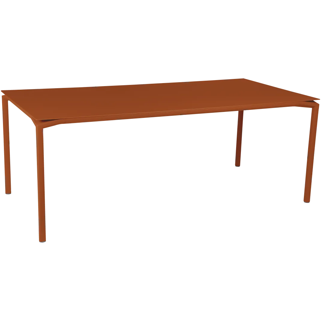 TABLE 195 X 95 CM