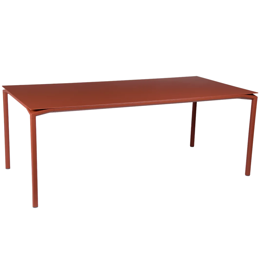 TABLE 195 X 95 CM