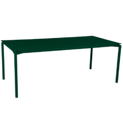 TABLE 195 X 95 CM