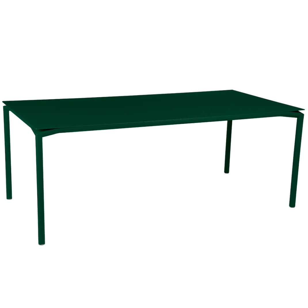 TABLE 195 X 95 CM