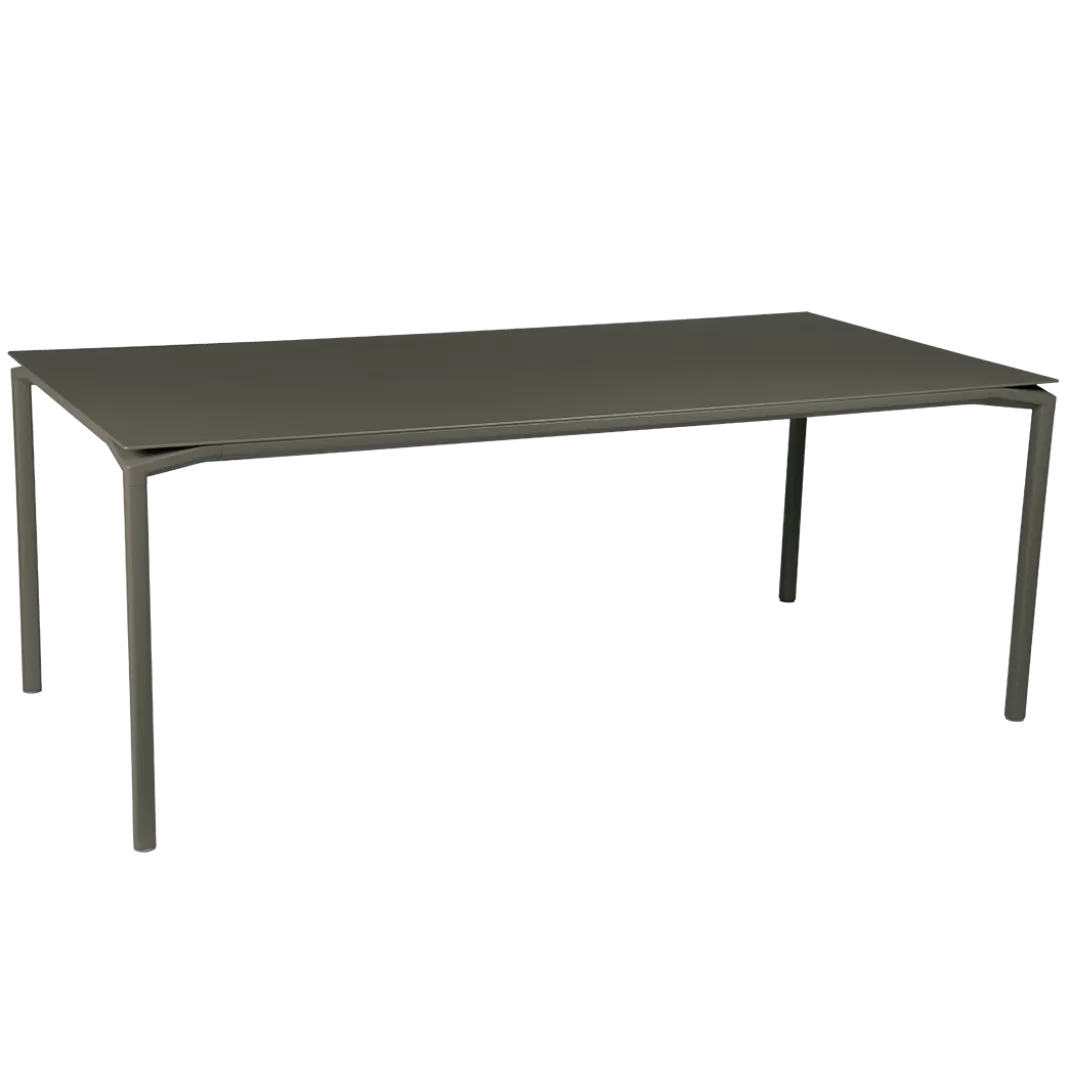 TABLE 195 X 95 CM